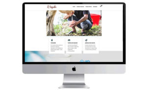 Diseño de páginas: tiendas online