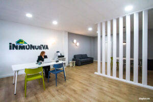 Reforma inmobiliaria